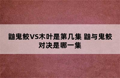 鼬鬼鲛VS木叶是第几集 鼬与鬼鲛对决是哪一集